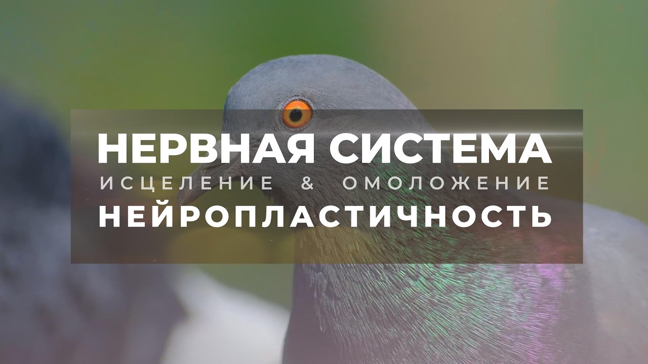 Исцеление нервной системы. Нейропластичность. Скрытые аффирмации. Саблиминал.