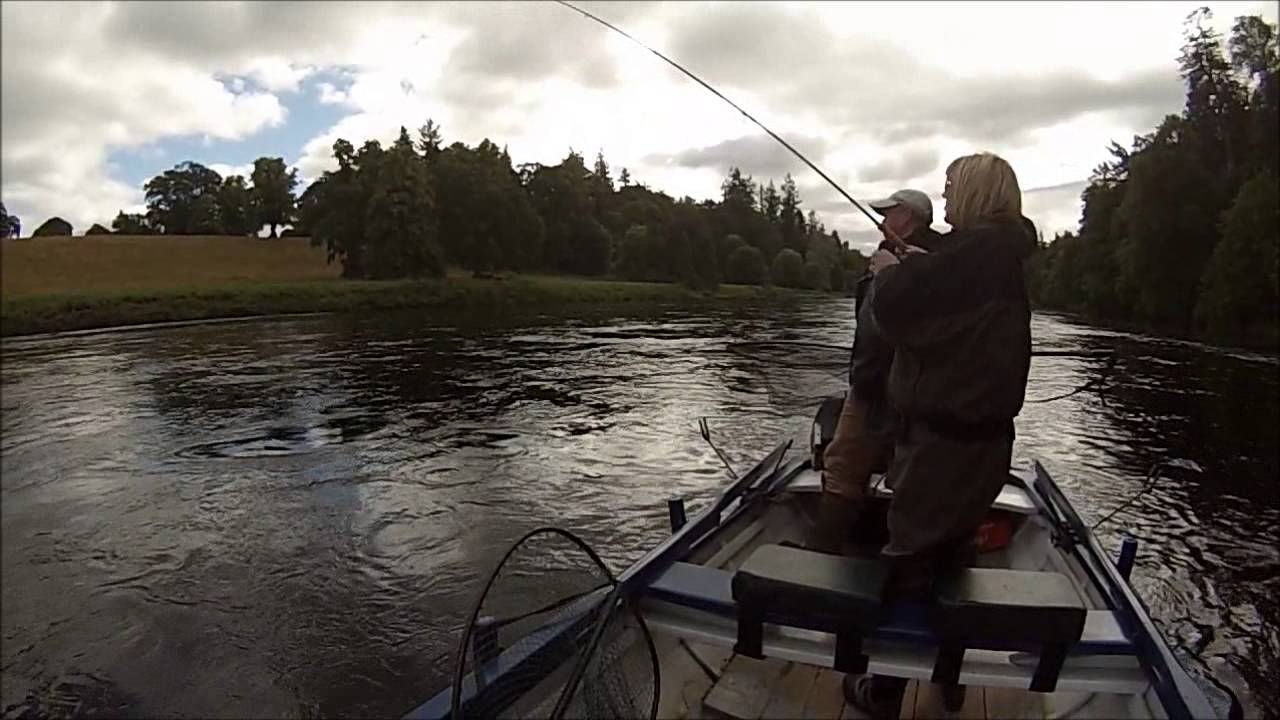 Tay Salmon from Meikleour