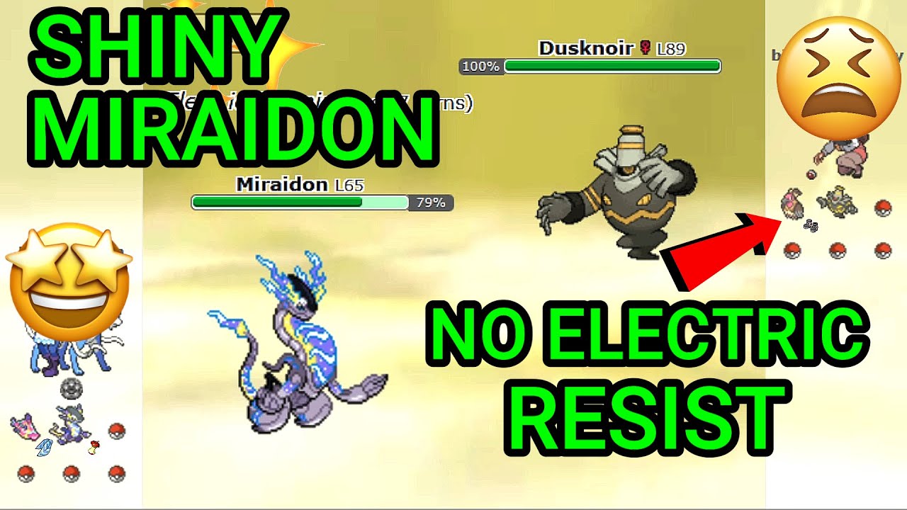 Shiny Miraidon! (Pokemon Showdown Random Battles Blitz) (High Ladder)