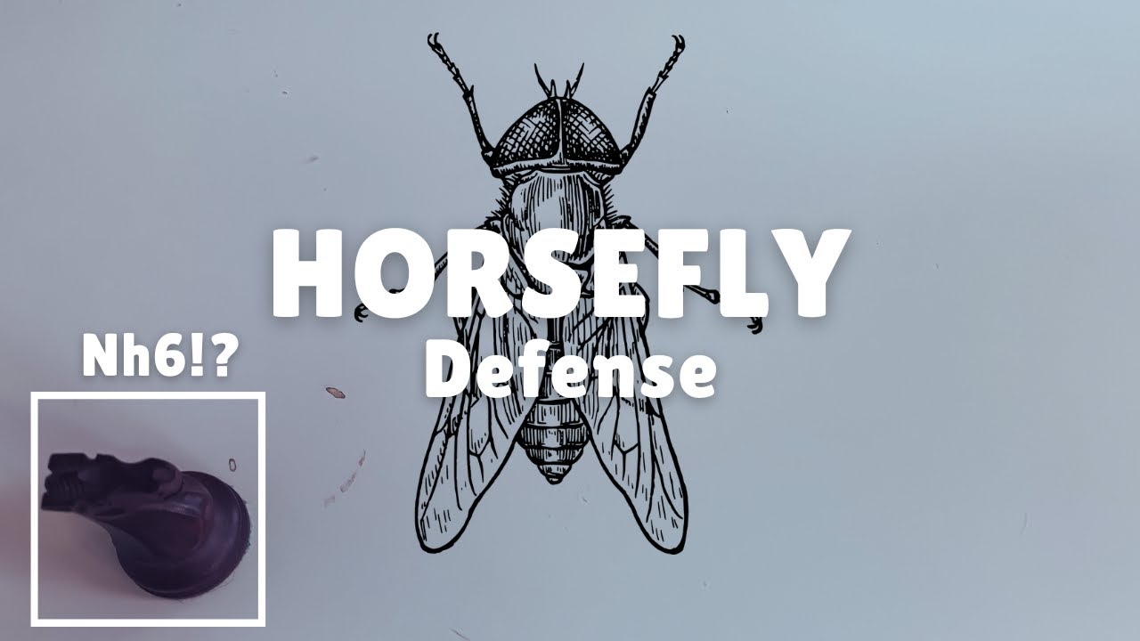 The Horsefly Defense · Play An Opening No One Knows
