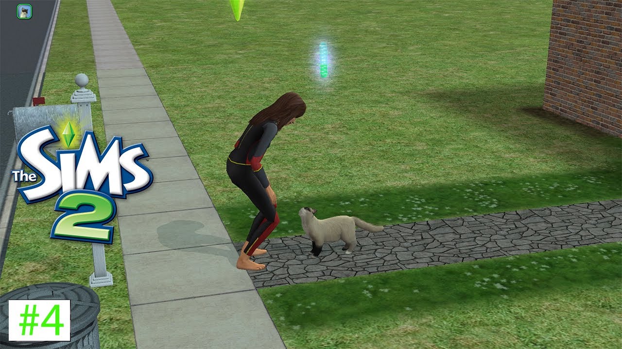 🍂 Me And My Cat Are Climbing the Career Ladder! The Sims 2 No Commentary Gameplay 🍁