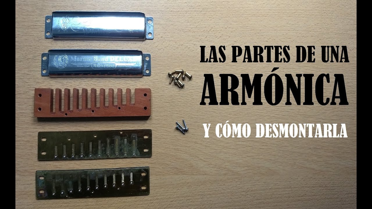 Las PARTES de la ARMÓNICA Cómo desmontarla