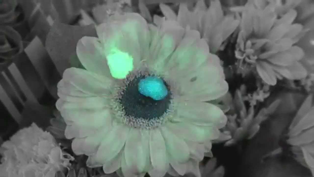 Turnstile - Drop [Official Video]