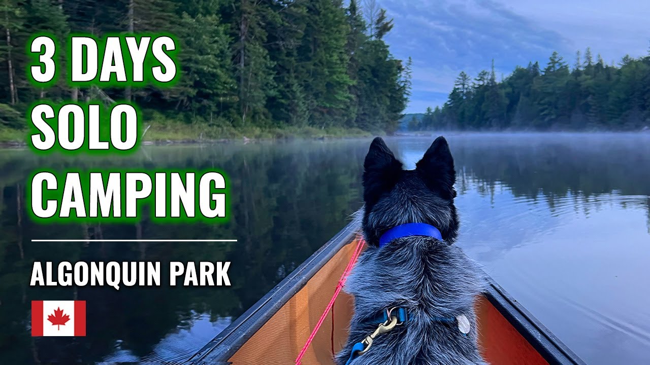 3-Day Solo Canoe Trip to a Gorgeous Lake w/ Loons, Beavers, Moose