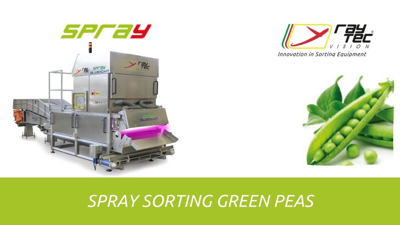 Spray optical sorting machine for green peas | RAYTEC VISION SpA