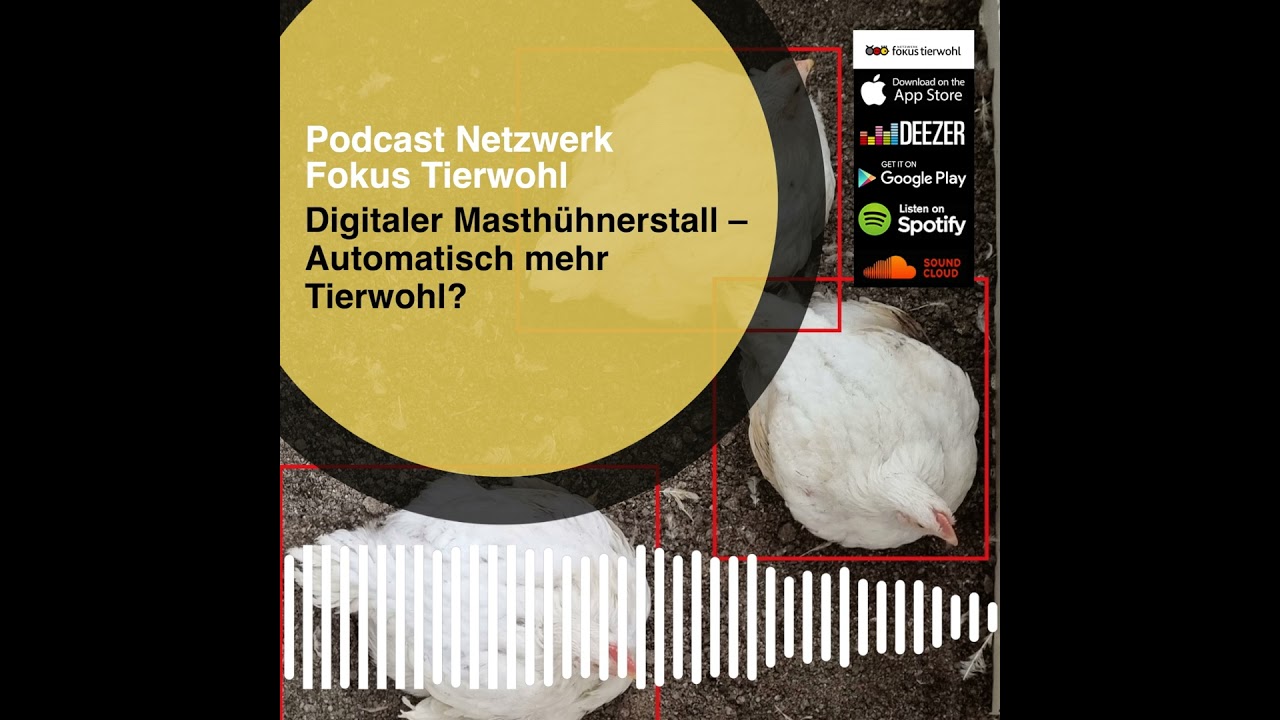 Digitaler Masthühnerstall - Automatisch mehr Tierwohl?