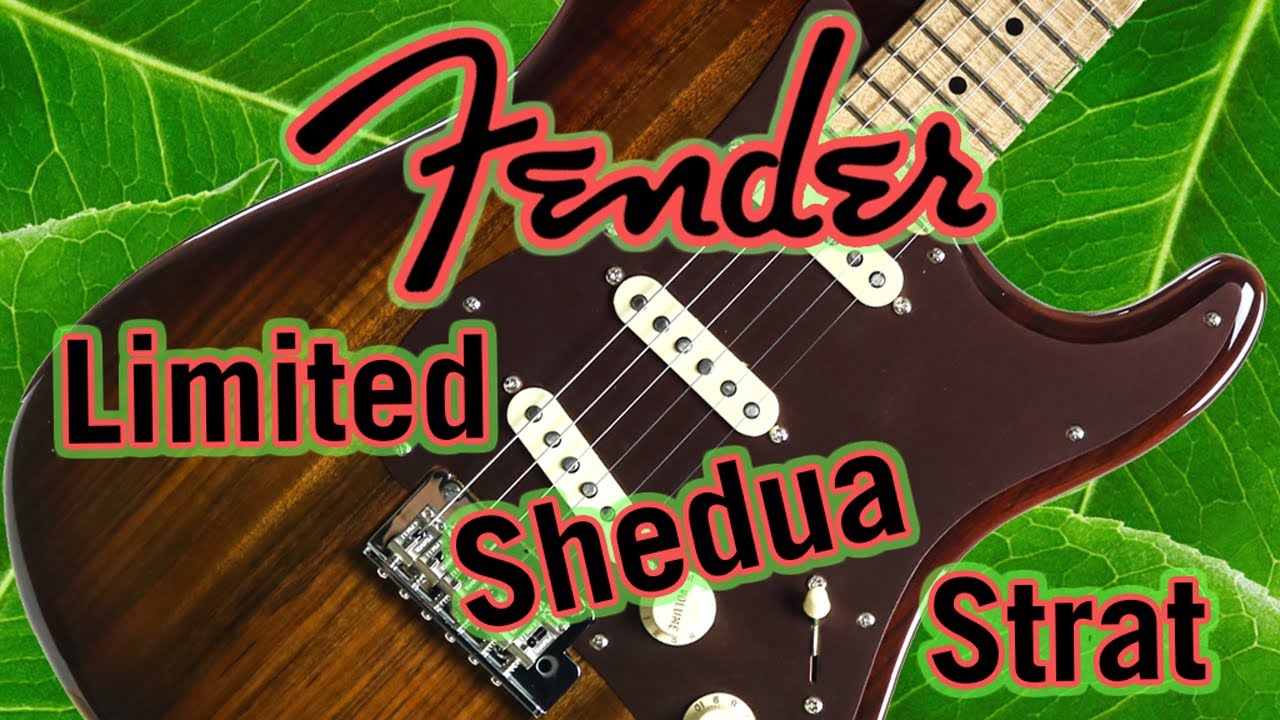 Fender 2017 Limited Edition Shedua Top Stratocaster Review & Demo