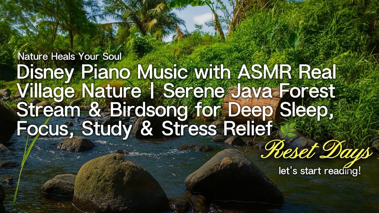 Disney Piano Music ASMR Real Village River | Java & Birdsong for Deep Sleep, Study & Stress Relief 🌿