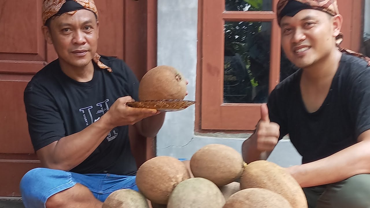 Panen Lagi Buah Mamesapote dibelakang rumah