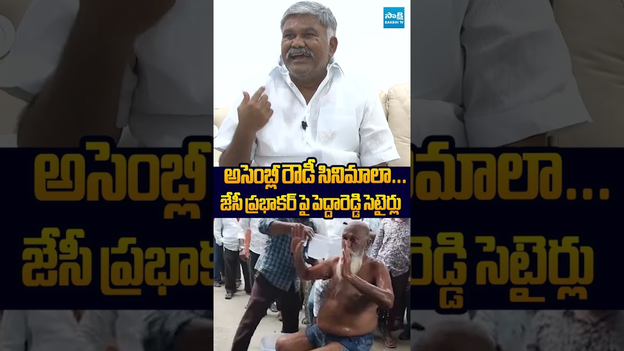 జేసీ ప్రభాకర్ పై పెద్దారెడ్డి సెటైర్లు #KethireddyPeddaReddy #JCPrabhakarReddy #JCAshmitReddy