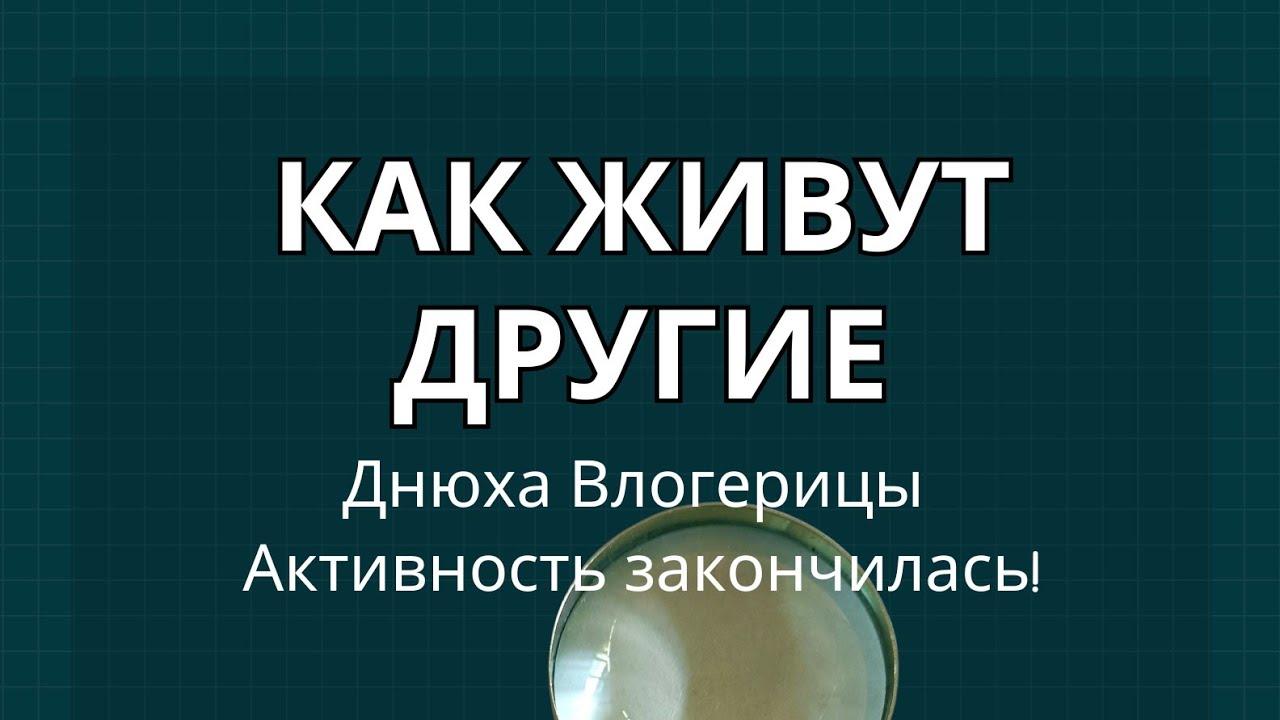 Обзор на канал Наша жизнь в Германии: Как живут другие... Днюха влогерицы