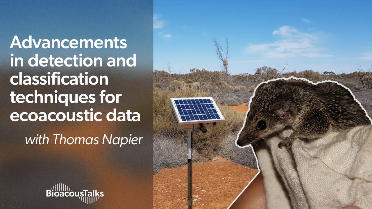 BioacousTalks: Advancements in acoustic detection & classification techniques w/ Thomas Napier