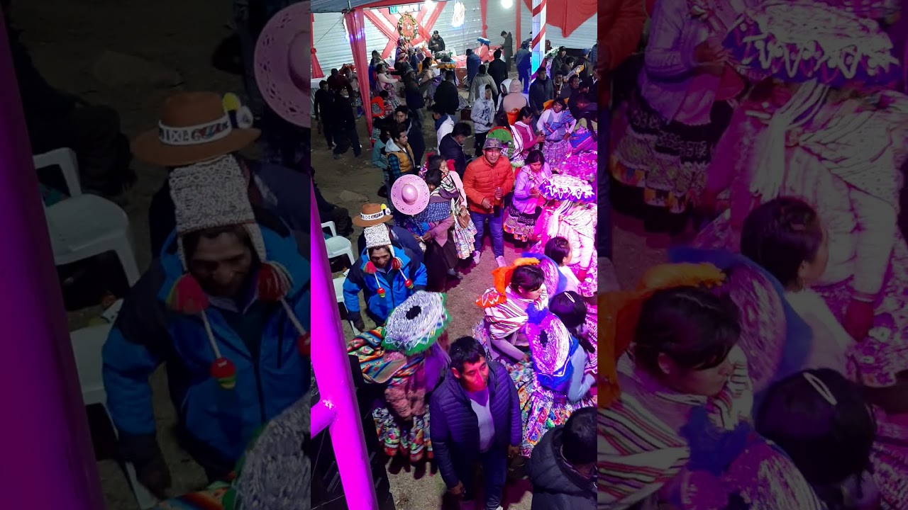 Faraón de la Bandurria en matrimonio  CCATCCÁ   UMUTO  Quispicanchis Cusco 2021