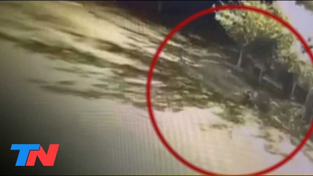 ASÍ MATARON AL POLICÍA EN JOSÉ C. PAZ | Los dramáticos videos de las cámaras de seguridad