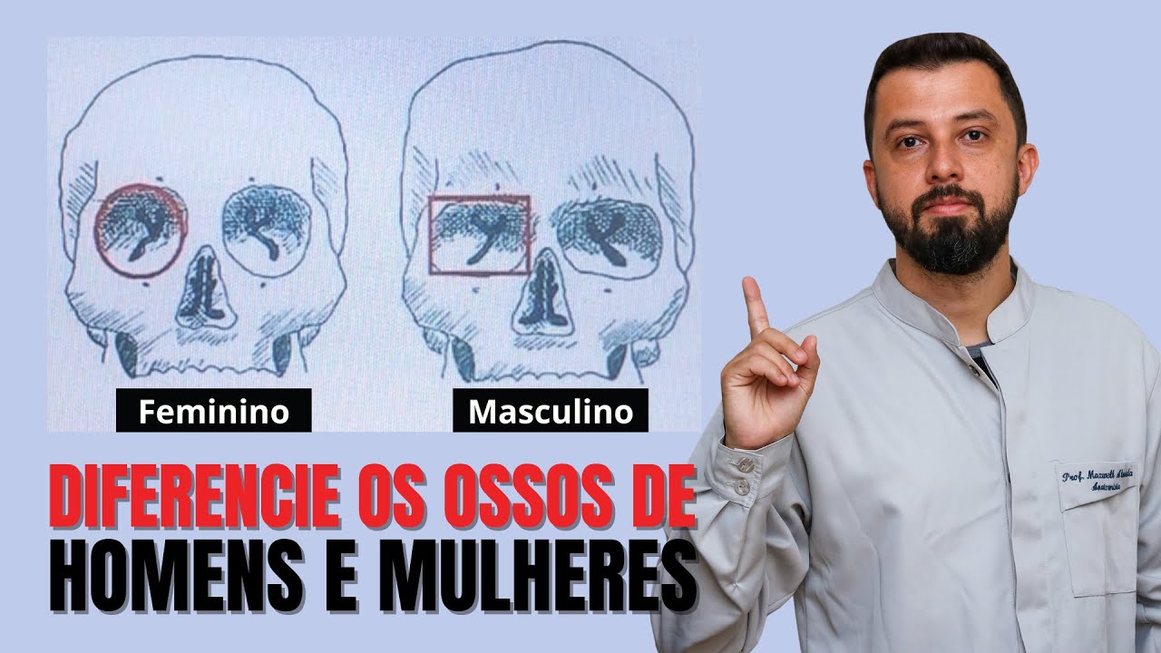 Diferenças entre as estruturas ósseas do CORPO HUMANO: HOMEM E MULHER