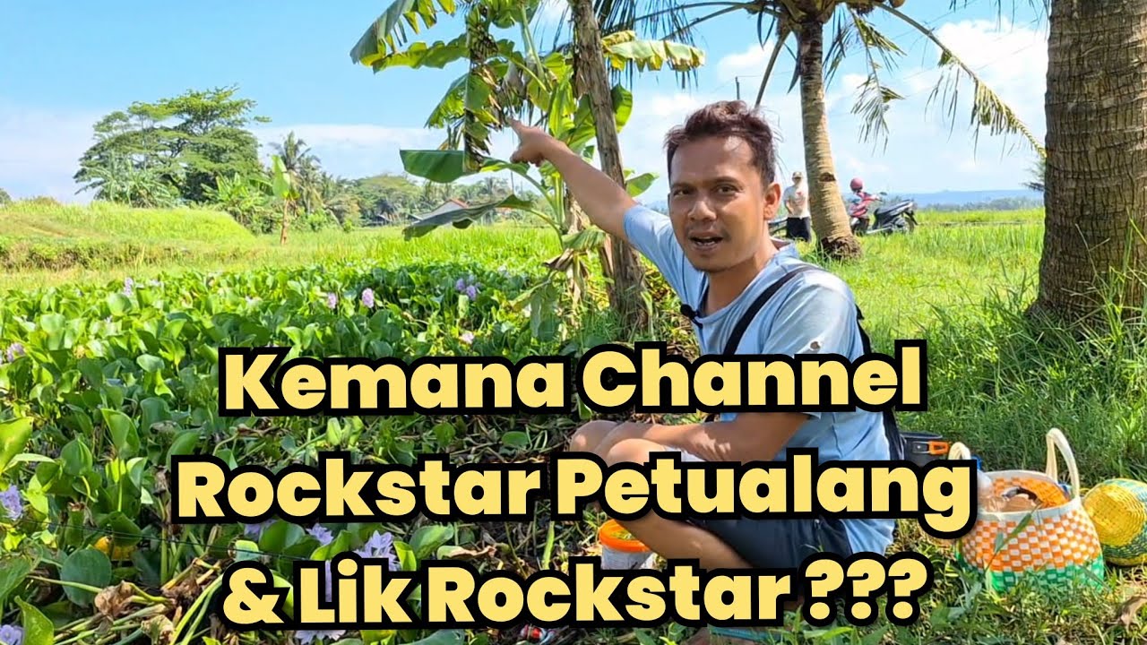 APA YG TERJADI DENGAN CHANNEL ROCKSTAR PETUALANG & LIK ROCKSTAR ?