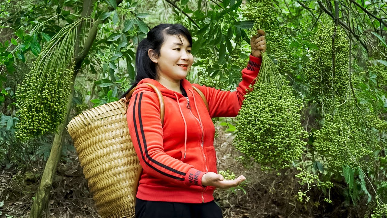 How To Harvest Rattan, Sell It At The Market And Cook Dishes At Home | Tieu Vy Free Bushcraft
