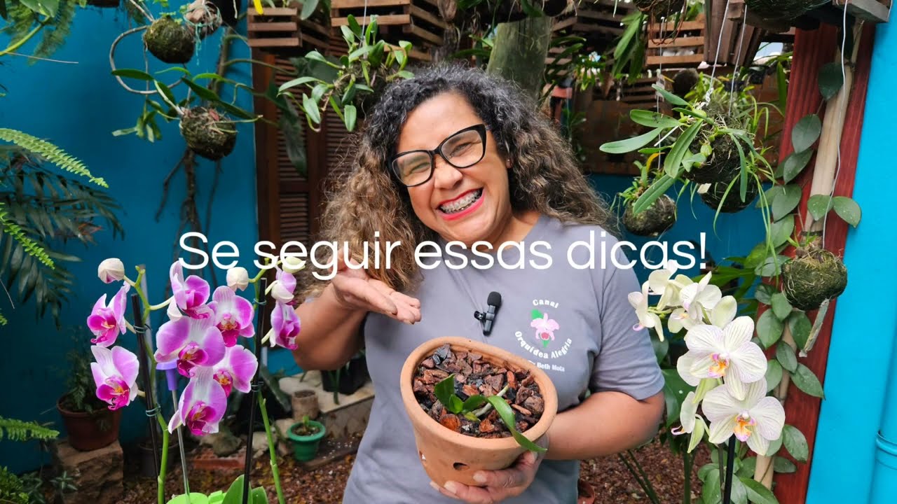 ORQUÍDEA: UM PRESENTE ESPECIAL PRA VOCÊ ! #orquídeaalegria #orquideas #flores