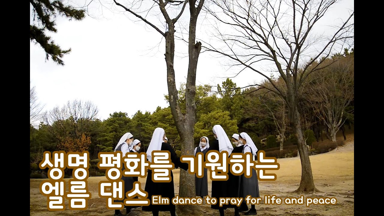 엘름 댄스_Elm dance to pray for life and peace