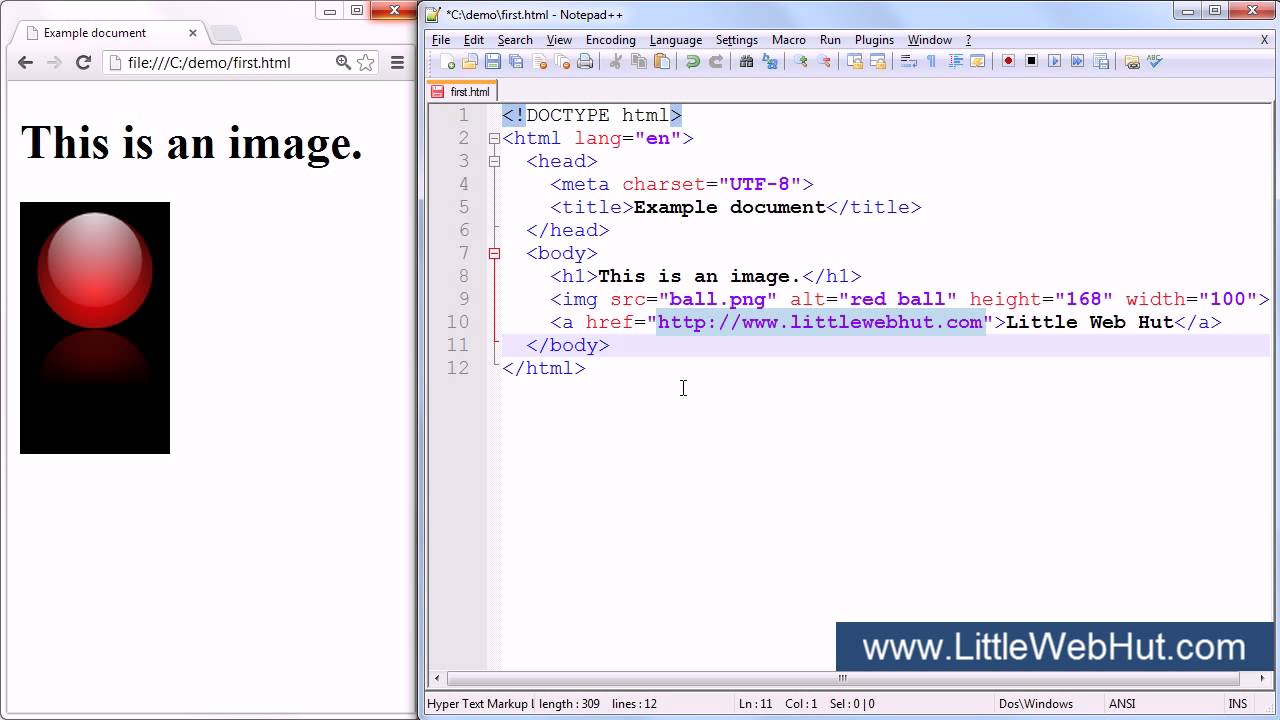 Учебник HTML5 для начинающих — часть 3 из 6 — Изображения и гиперссылки