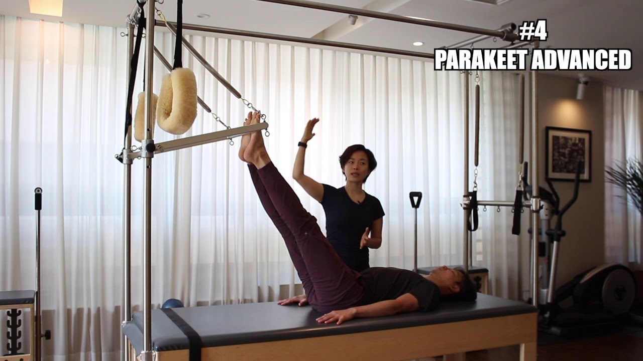 바디올로지 Hands-on Guide #4 Cadillac Parakeet Advanced