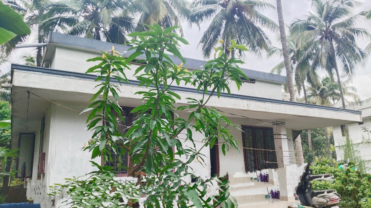 തൃശ്ശൂർ 23 ലക്ഷം രൂപക്ക് | 5 സെന്റ് സ്ഥലവും |925 സ്‌ക്വയർഫീറ്റ് | 3 ബെഡ്‌റൂം വീട് വില്പനക്ക്#AA#225#