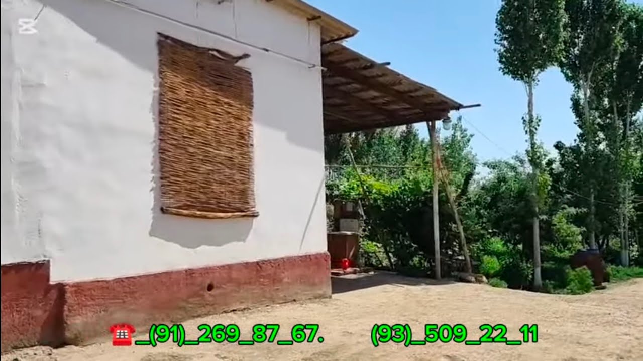 ШЫМБАЙДА ЗОР ЖАЙ САТЫЛАДЫ БАХАСЫ КЕЛИСИМЛИ#ШЫМБАЙ