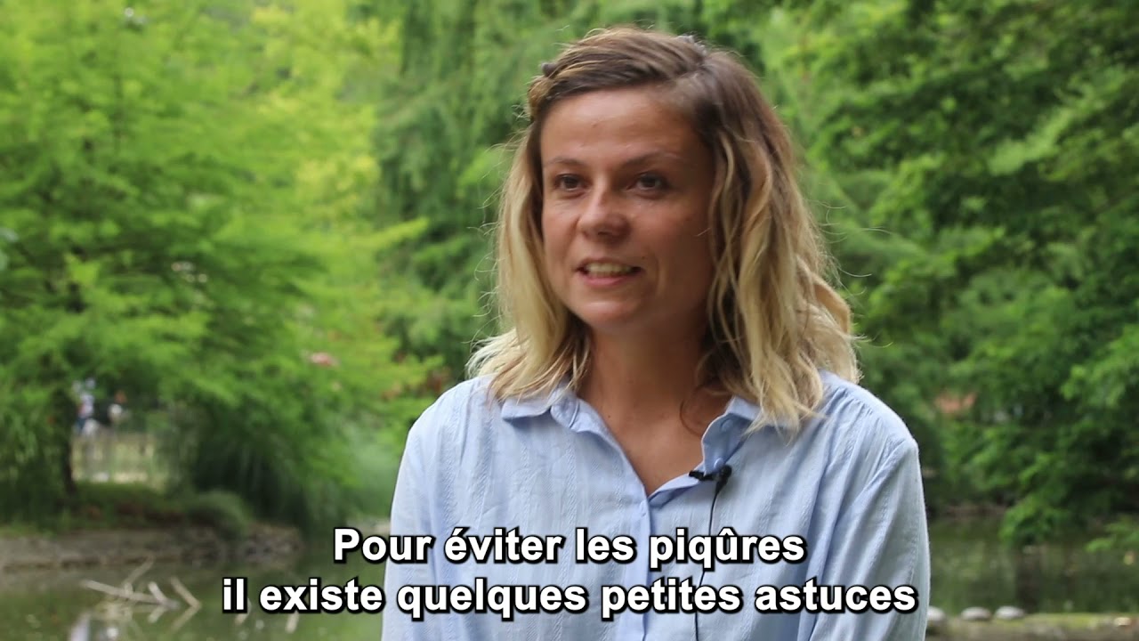Comment lutter contre le moustique tigre ?