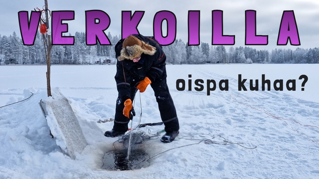 Hiljainen helmikuun aamu Juurusvedellä - mitä talviverkot antoivat?