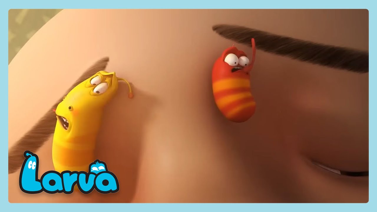 Pegado en la cara de alguien | LARVA | Wildbrain Niños