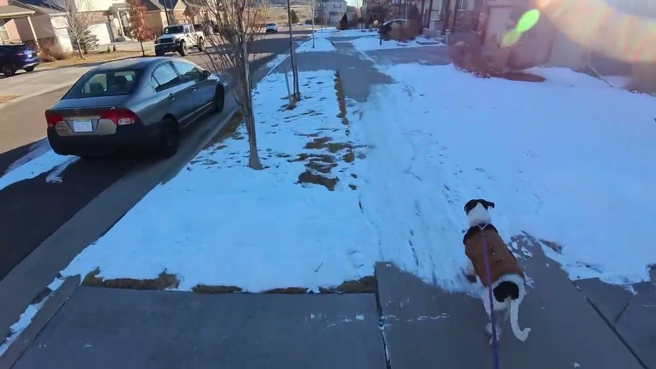 Ramona and Brett Morning Run on Jan. 20, 2026