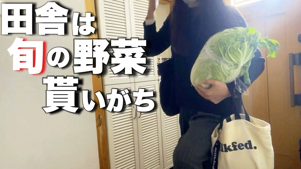 【3日間晩御飯】白菜づくしに夫は夢でうなされる？/仕事帰宅後の様子と白菜消費レシピ