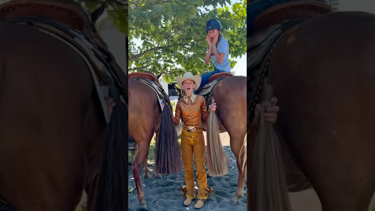 Ah yes&hellip; Live, laugh, love fake tails 🤣  #horse #fake #horsefan #rideforoscar #fypage #riding #aqha