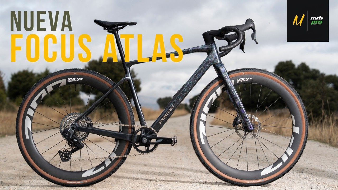 Nueva FOCUS ATLAS ¿Loba con piel de cordero?