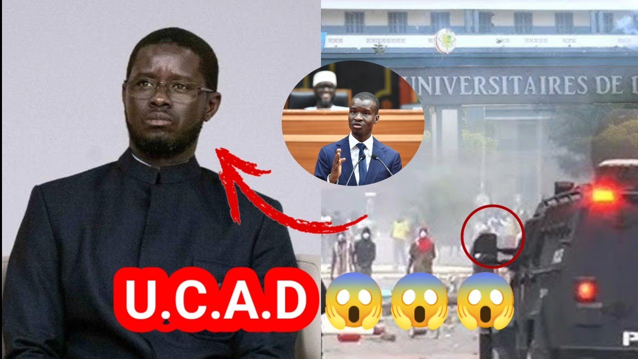 LI Diomaye Deff Wa U.C.A.D Ba Waral étudiant Yi Di Khékh Boba Batay Dh Warr Na Reuy ????
