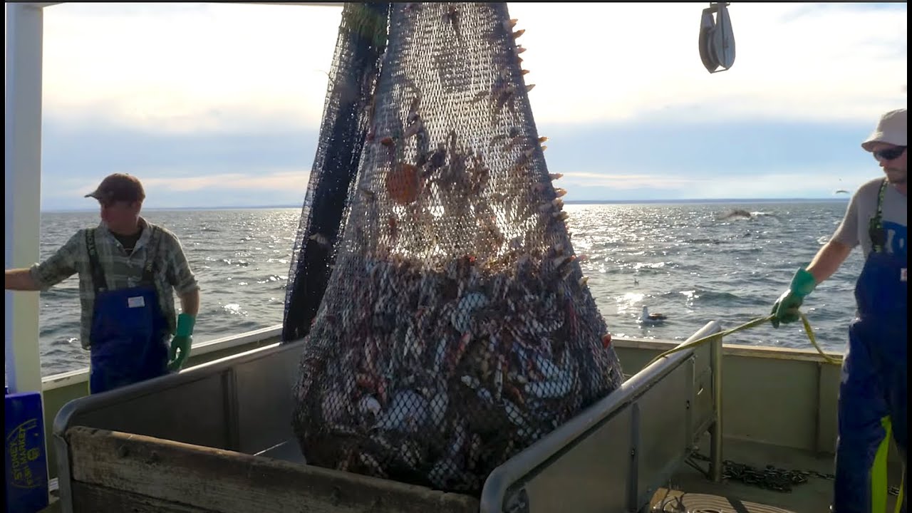 On board Fishing Trawler 