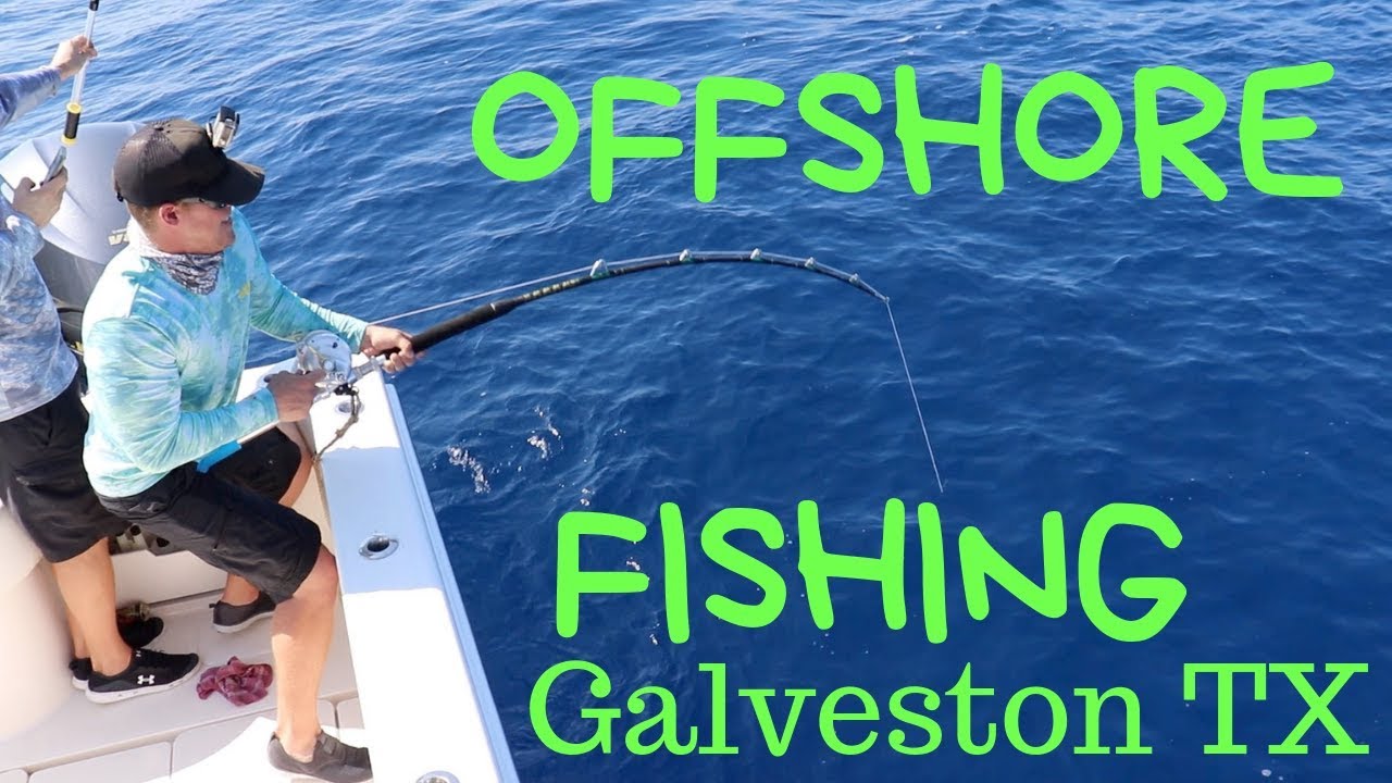 OFFSHORE Fishing Galveston Texas! (Amberjack, Mahi, King fish)