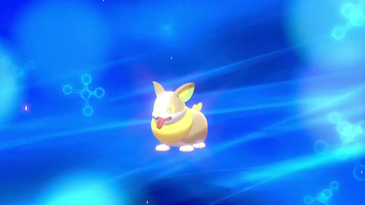 Yamper Evolution Pokemon Shield