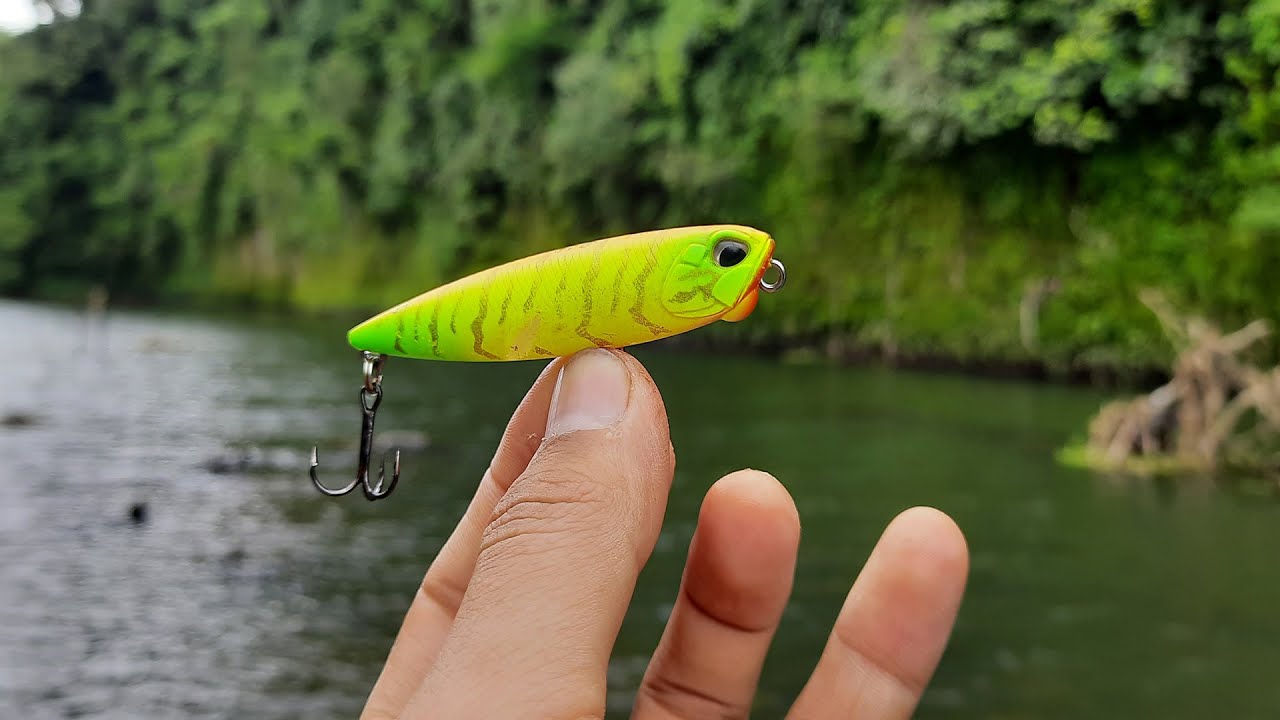 Casting Hampala With Duo Realis Pencil
