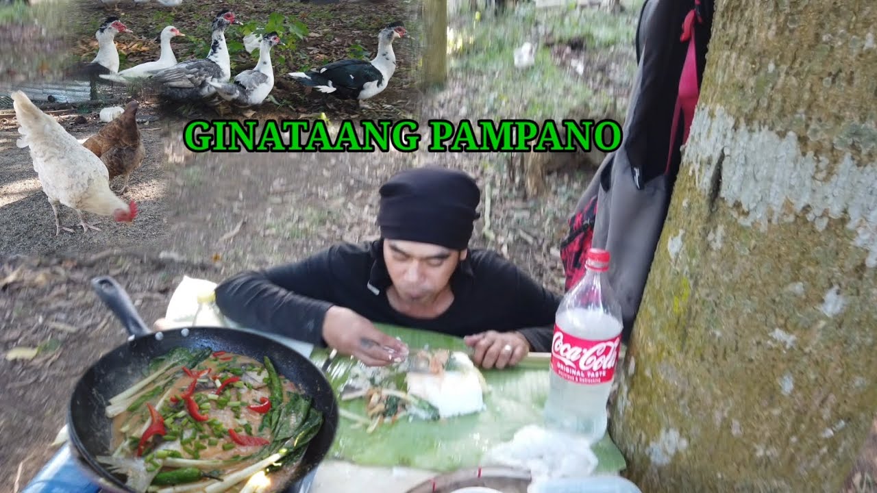 Creamy Ginataang/PAMPANO/Country side style Cooking