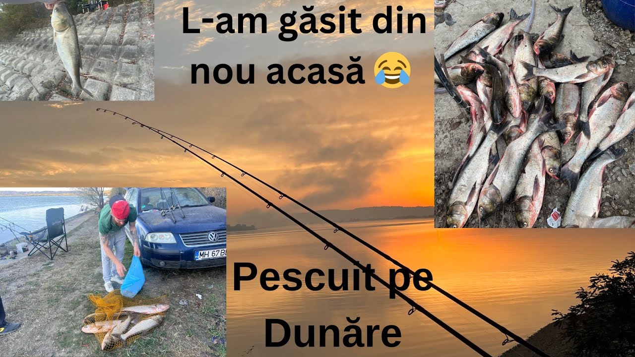 L-AM SPART pe pește pe DUNĂRE😱 Pescuit la NOVAC și FITOFAG cu monturi fine💪🏻