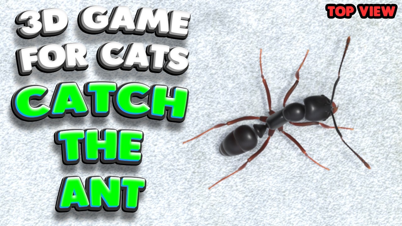 3D game for cats | CATCH THE ANT (top view) | 4K, 60 fps, stereo sound