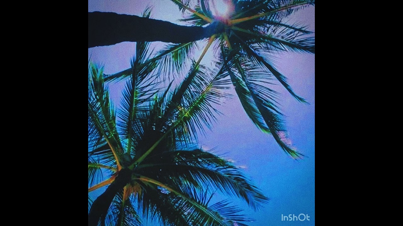Rondo-Slatt (slowed and reverbed)