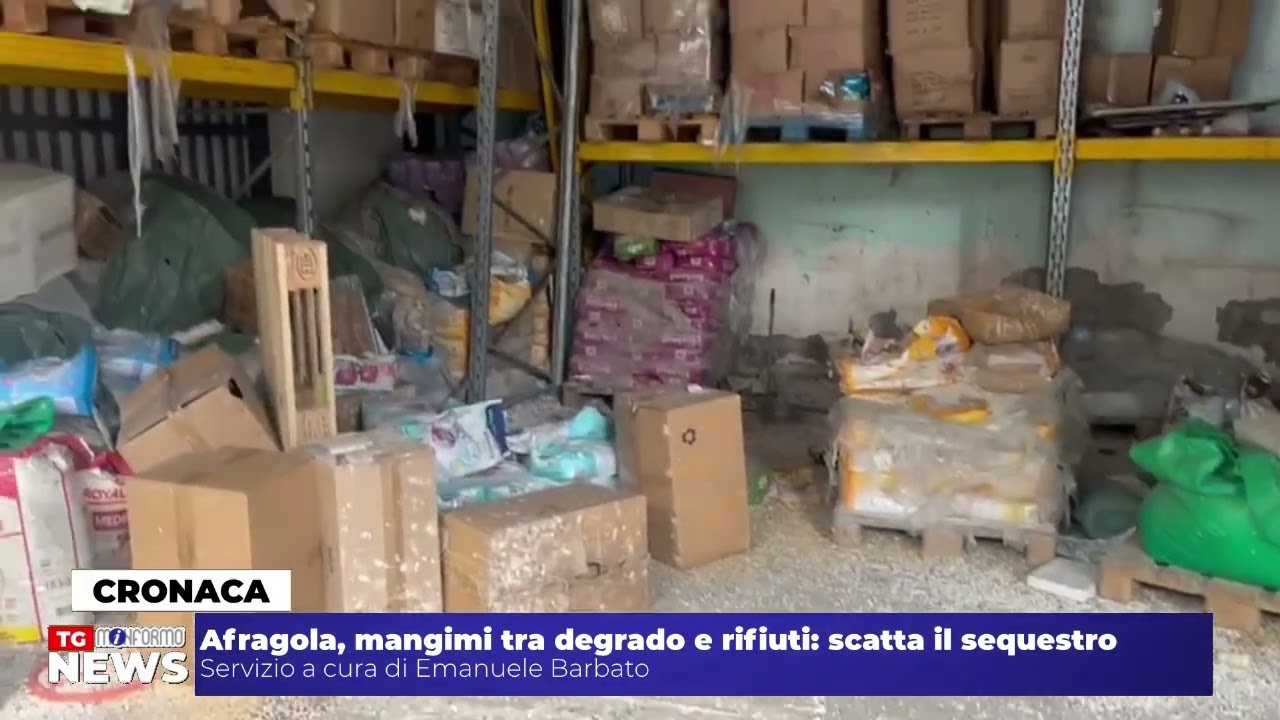 Afragola, mangimi tra degrado e rifiuti: scatta il sequestro