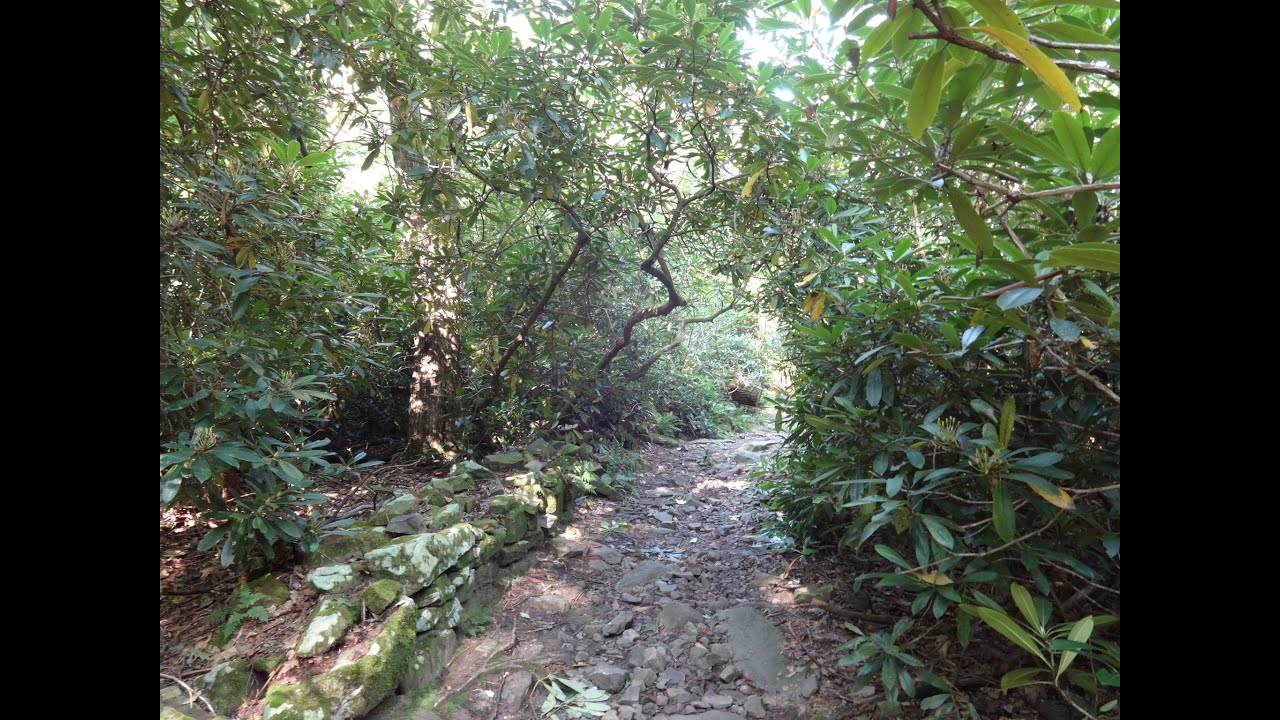 Rothrock State Forest:  Shingletown Gap/Galbraith Gap -  9 mile loop
