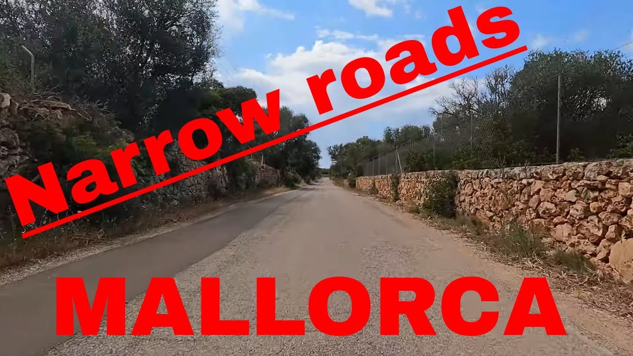 Scenic Bike Ride in Flat Terrain: Cycling to El Arenal on Mallorca