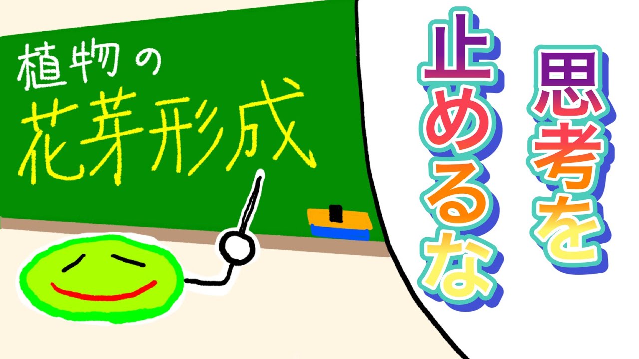 【フロリゲン】植物の花芽形成をわかりやすく解説！ #大学受験 #受験 #生物 #漫画