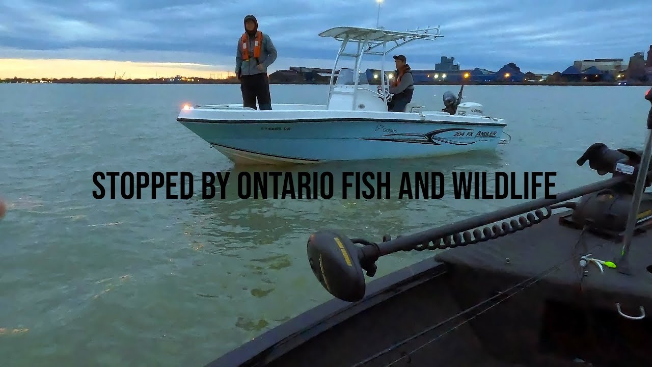 Stopped by Ontario Fish and Wildlife Walleye Fishing the Detroit River