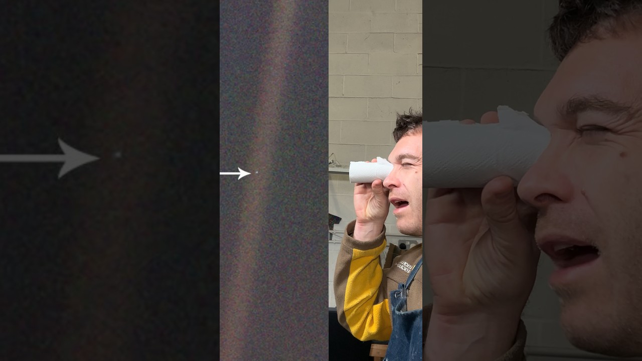 Моя любимая фотография #шорты