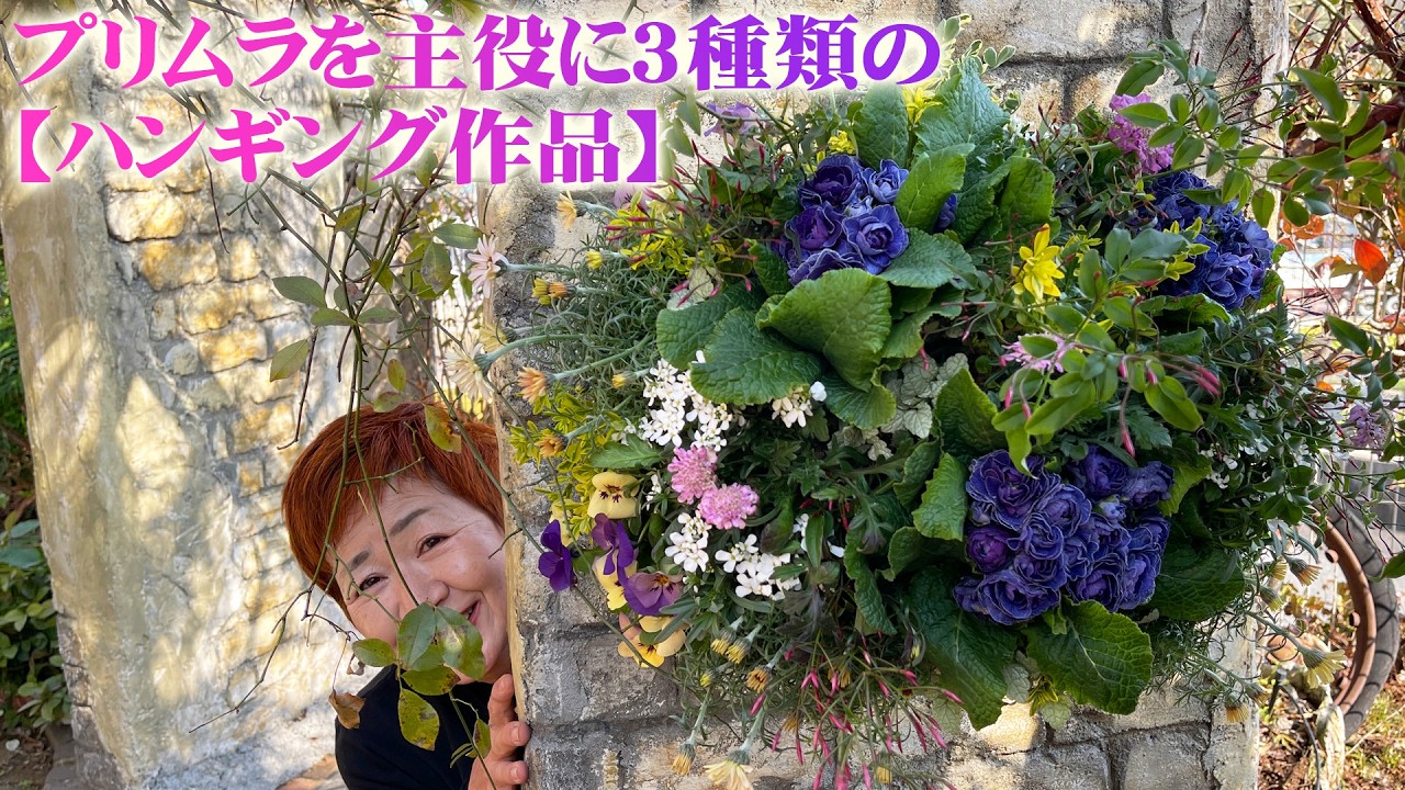 【プリムラが主役のハンギング作品3選】①なんて深いブルー『プリムラベラリーナ』②くすんだ色が魅力の『プリムラ・スフィンクス』③シャープな花弁がかっこいい『スターフィーバー』【吉村雅代】